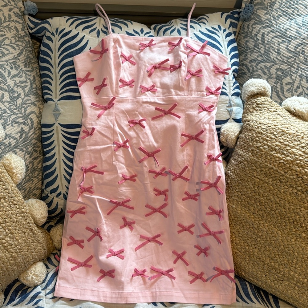 NWT Anthropologie Bow Dress